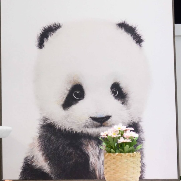 Meet your Posher, Steve - Picture 1 of 1